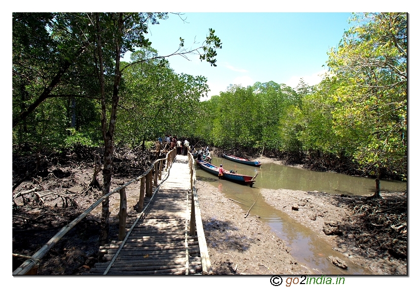 End of boat journey at Bay to reach limestone caves at Baratang of Andaman