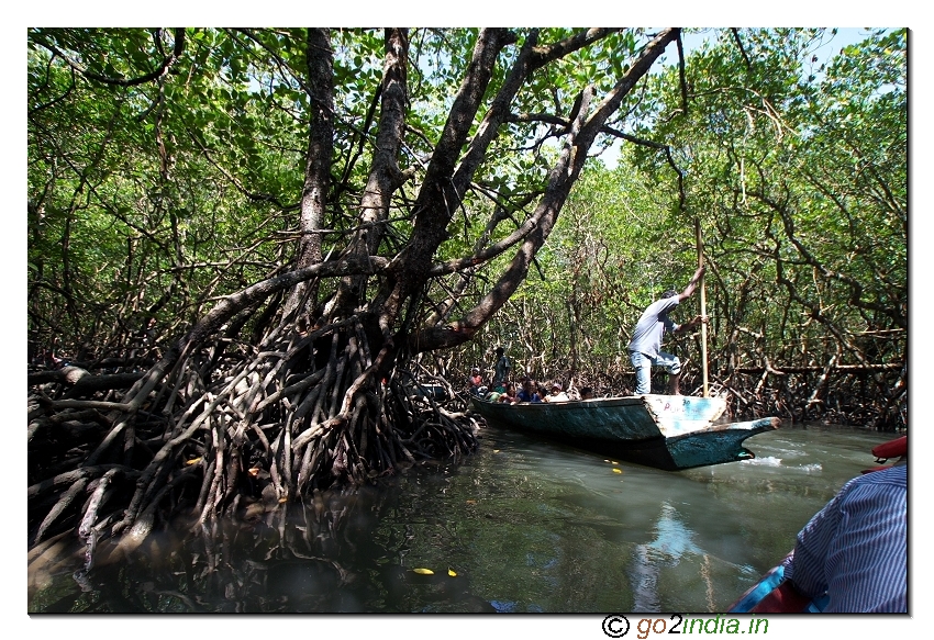 Boat journey at Bay to reach limestone caves at Baratang of Andaman