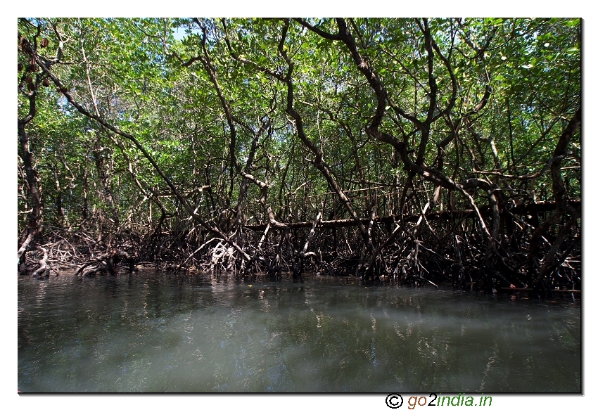 Boat journey at Bay to reach limestone caves at Baratang of Andaman