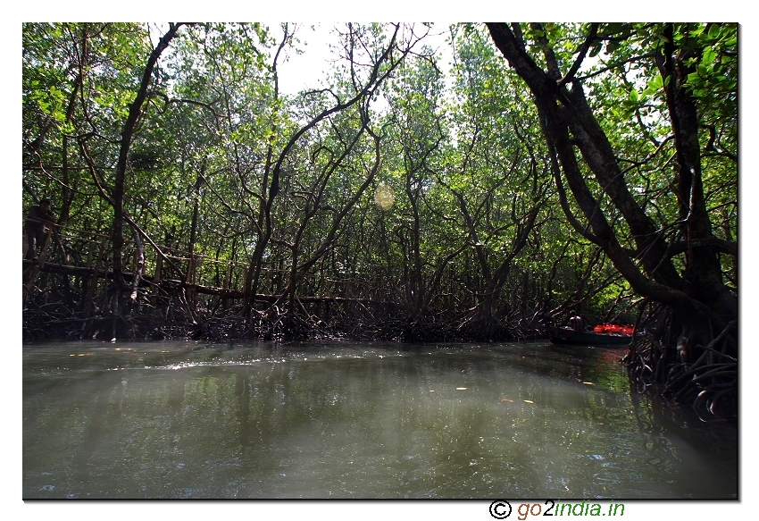 Boat journey at Bay to reach limestone caves at Baratang of Andaman