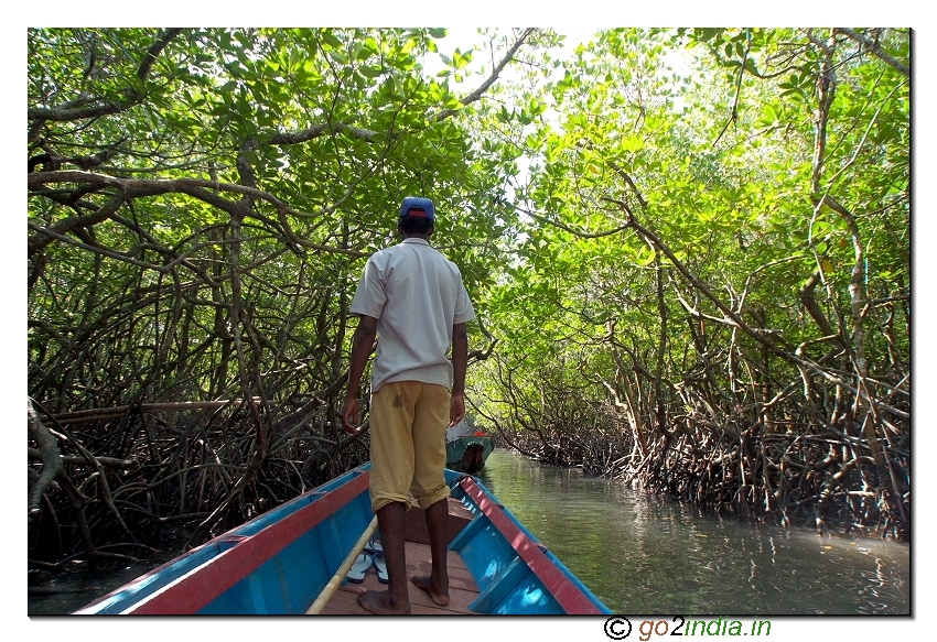 Bay from sea at Baratang in forest to reach limestone caves - Andaman