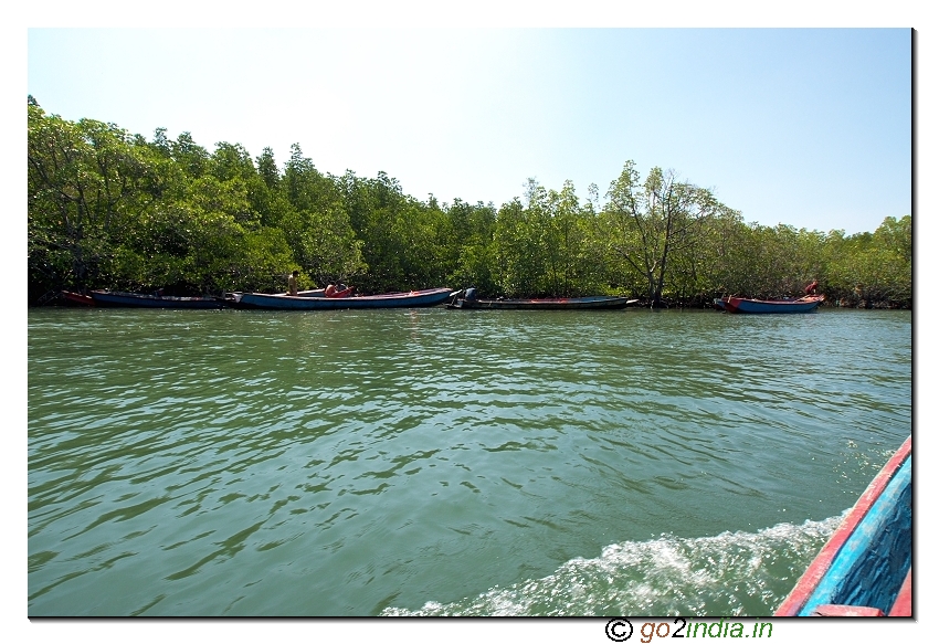 Boat journey to limestone caves of Andaman at Baratang