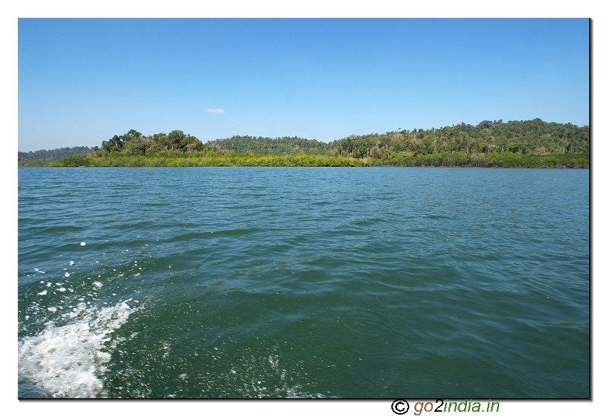 Sea and forest during Boat journey to limestone caves of Andaman at Baratang