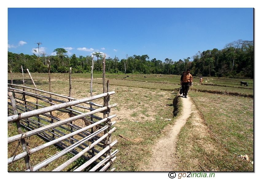 walk way to limestone cave of Andaman at Baratang