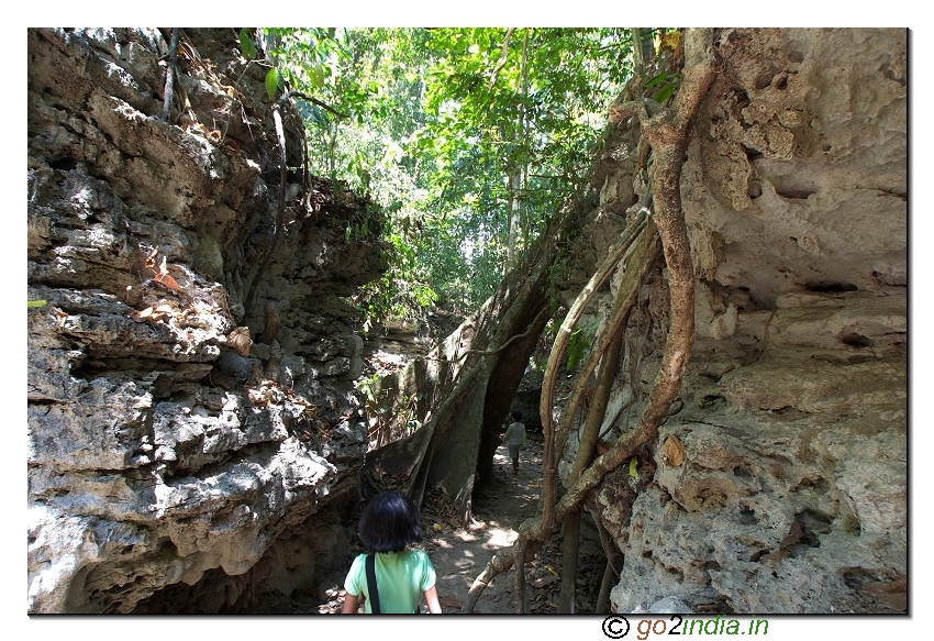 walk way near limestone cave of Andaman at Baratang
