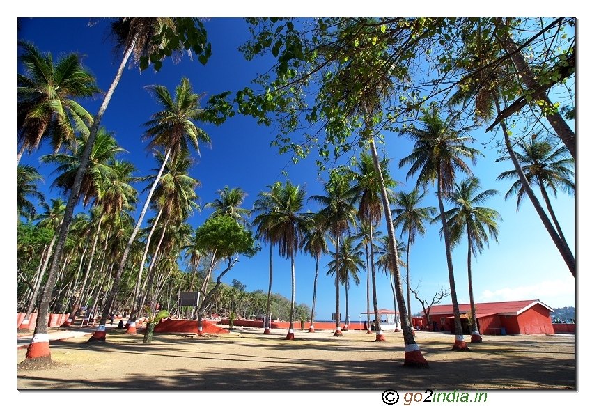 Ross island with huge number of coconut trees