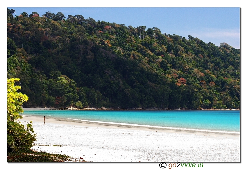 Andaman island Havelock beach view