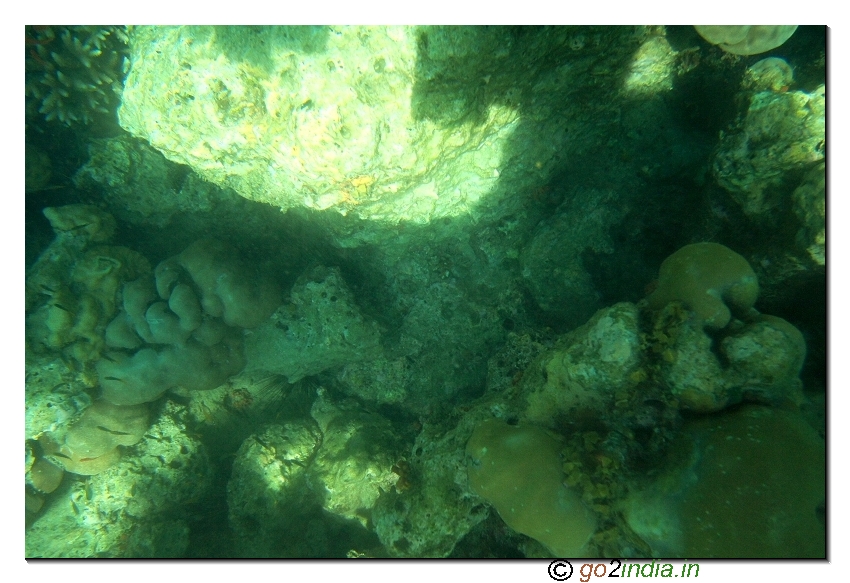 Under water coral view through glass boat in North bay of Andaman