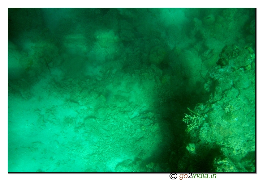 Under water coral view through glass boat in North bay of Andaman