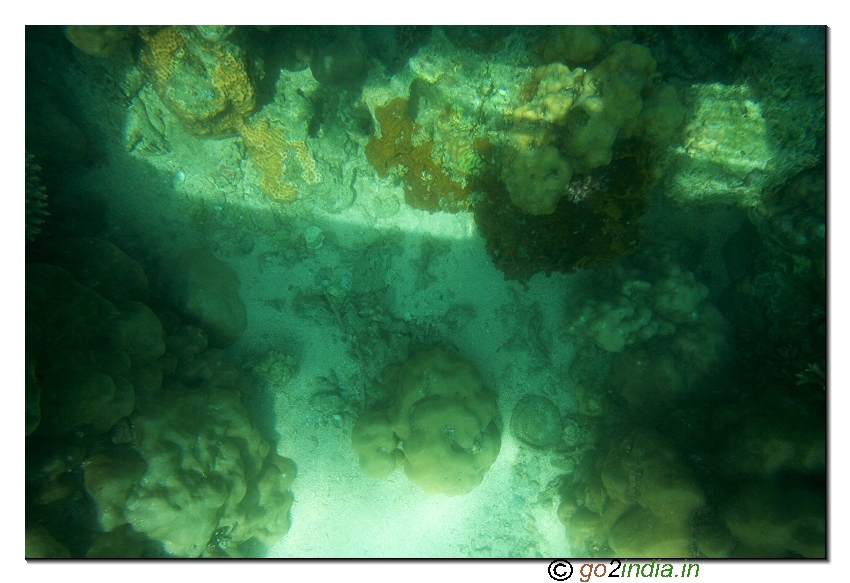 Under water coral view through glass boat in North bay of Andaman