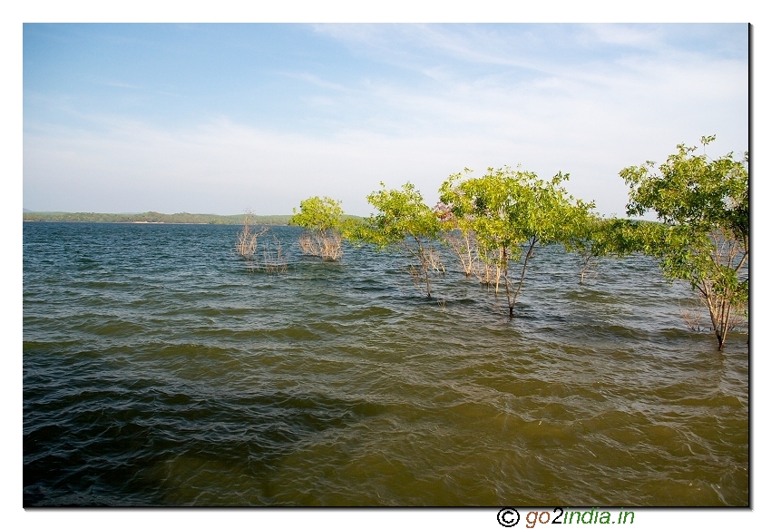 Sharavathi river crossing at Sigandur