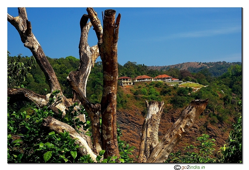 A view of resort near Jog falls through branches of dead wood