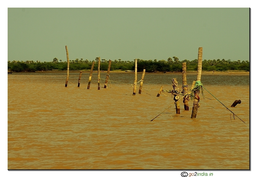 Poles at river Vasishta Godavari in Antarvedi, ANdhrapradesh, India