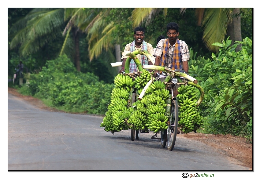 Farmers with Banana in East Godavari (Kona seema) district