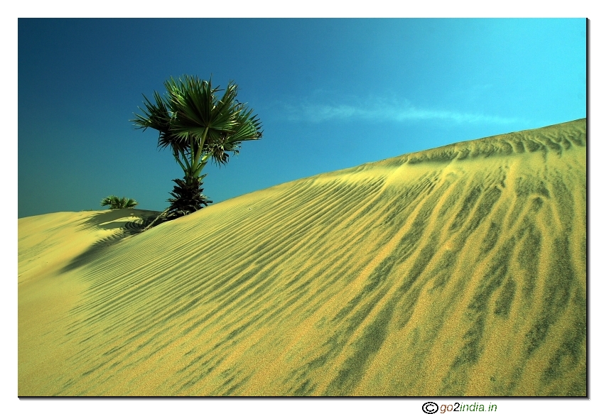 Sand with pattern, Rishi konda beach, Visakhapatnam,  Andhra pradesh