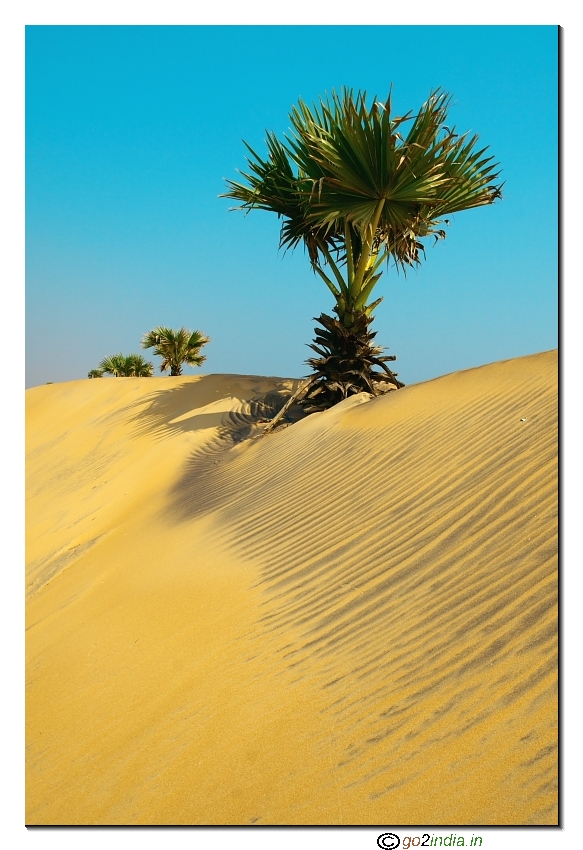 Beach sand 