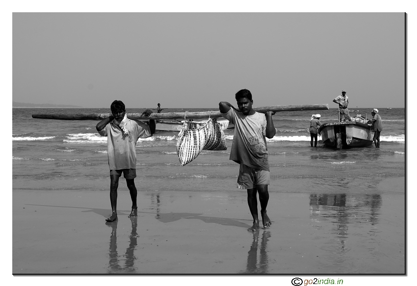 Fiisher men bringing fishes to sea shore from boats, Rishikonda beach Vizag
