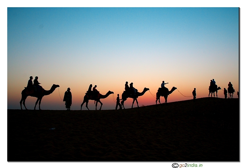 Sunset with a group of camels
