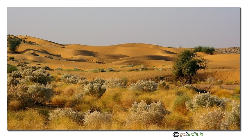 View of desert at Jaisalmer 