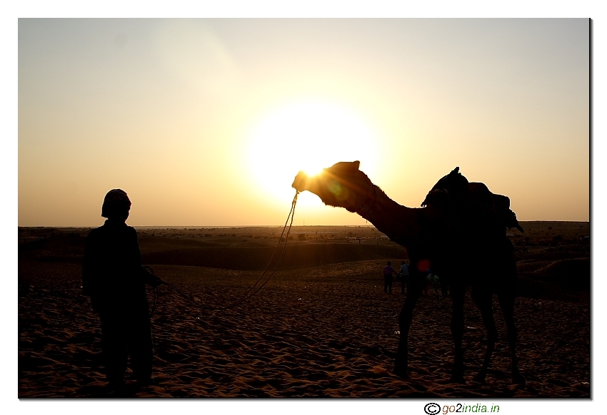Camel with  background sun