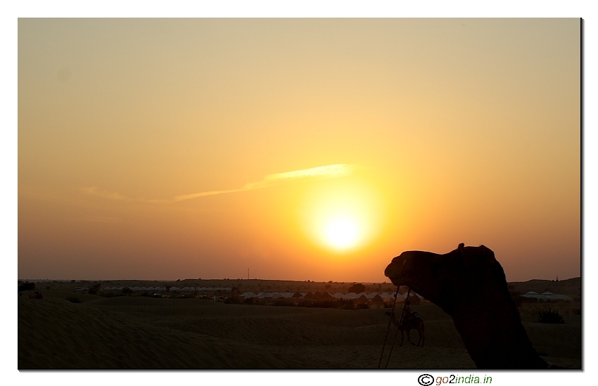 Sunrise and camel at sand dunes