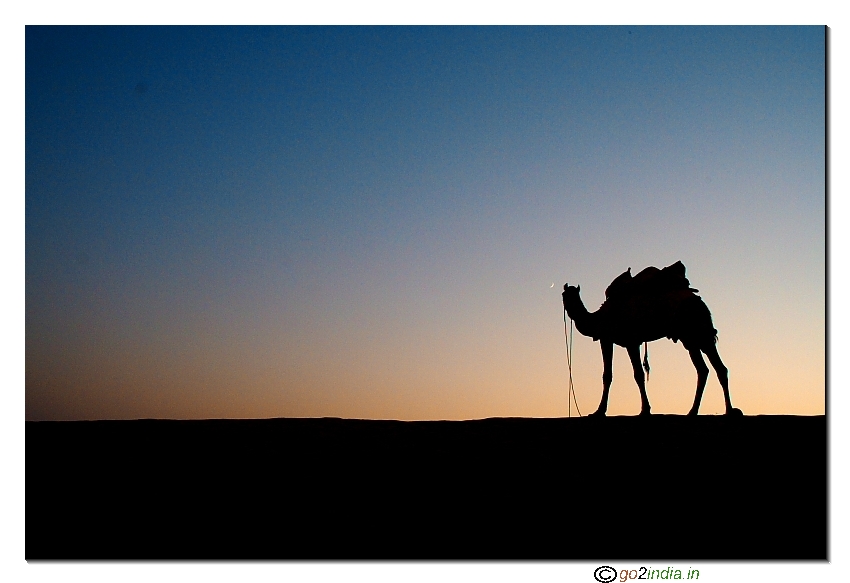 Camel moon just after sunset