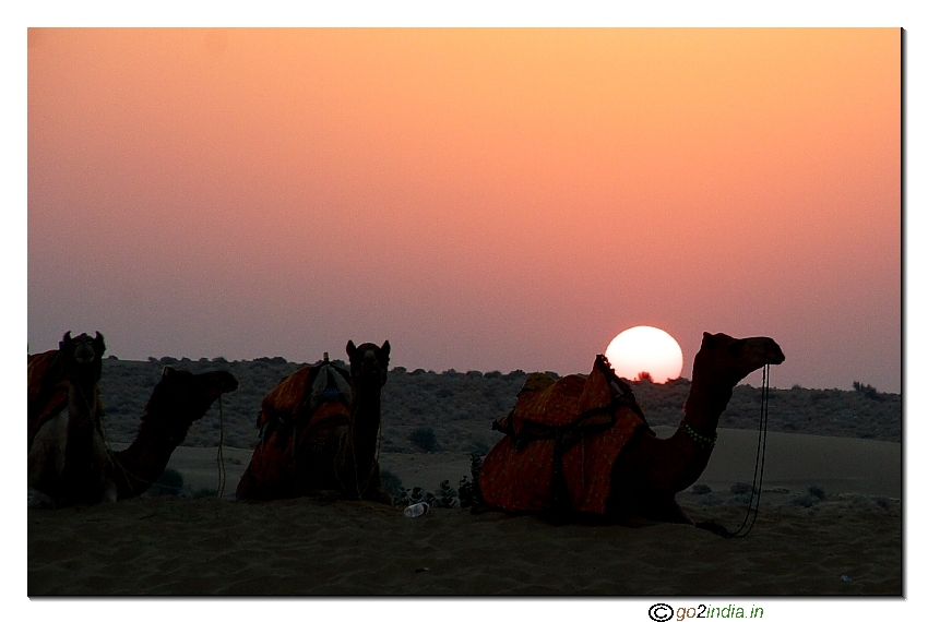 Sunrise at Sam near Jaisalmer