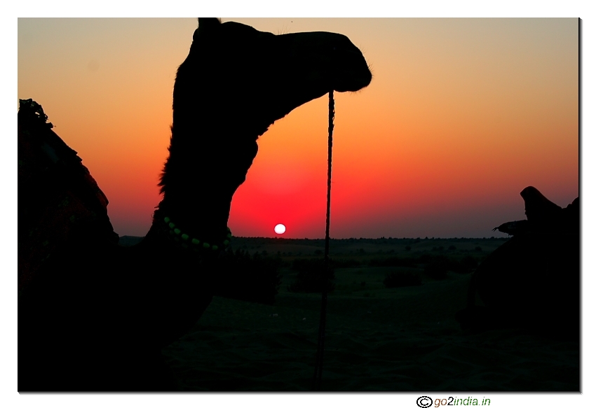 Sunrise at Sam with camel