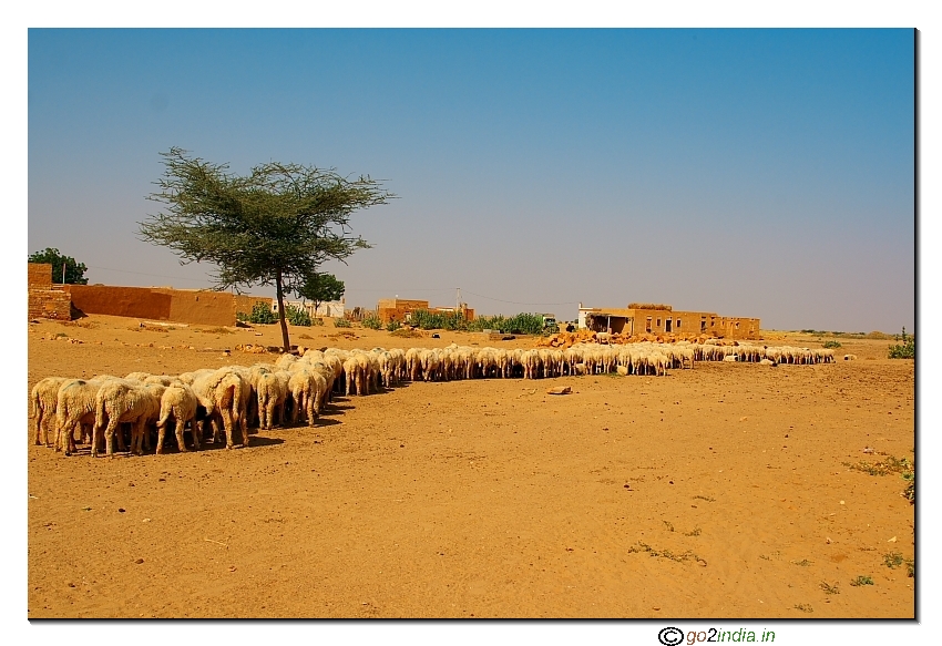 Keeping the head cool in hot summer at Desert 
