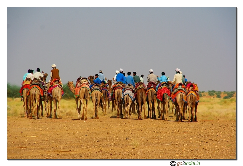 Camel safari - returning