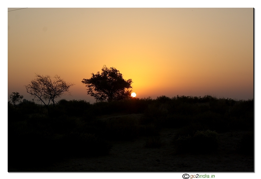 Sunrise behind a tree near Dhaneli village