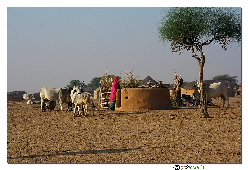 Clean village near Jaisalmer