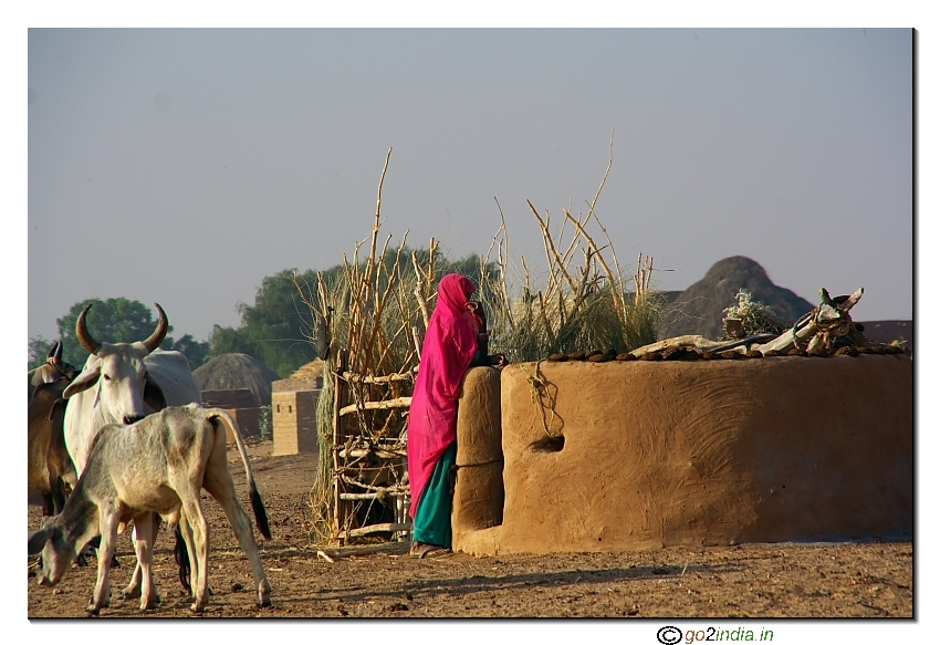 Daily life inside desert in a village near Jaisalmer