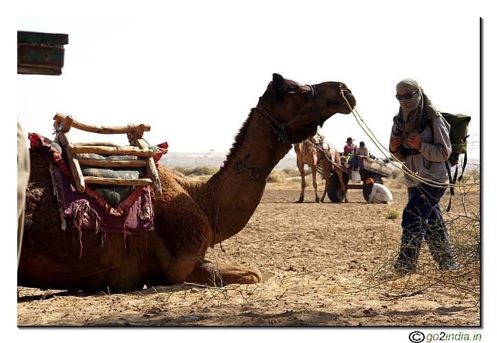 Camel and a girl inside desert