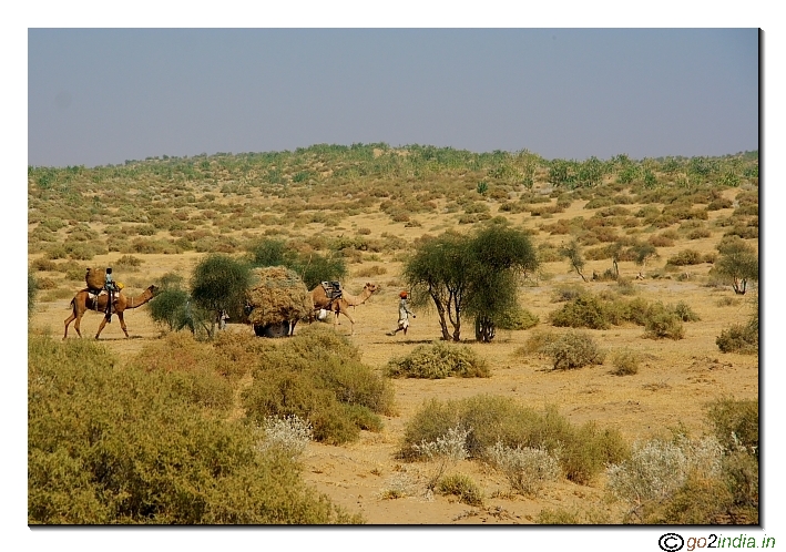 Camel carrying load inside desert