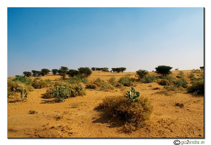 Desert near Jaislamer