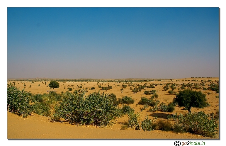 Desert beyond Jaisalmer 