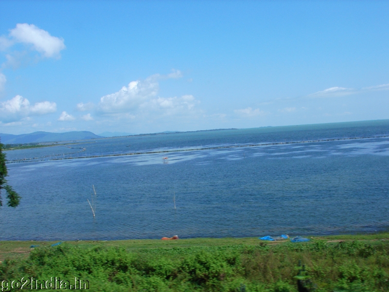 Chilika Lake photo