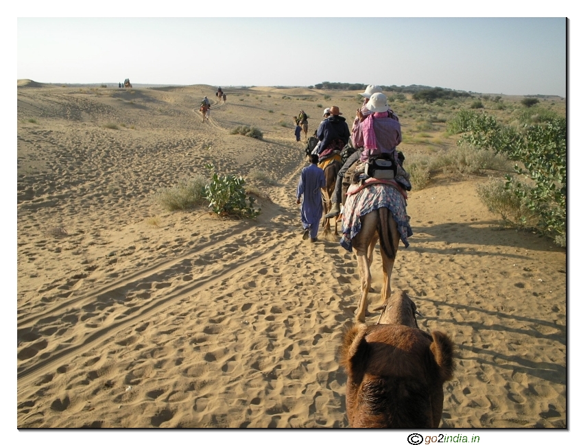 Camel safari during desert trekking 