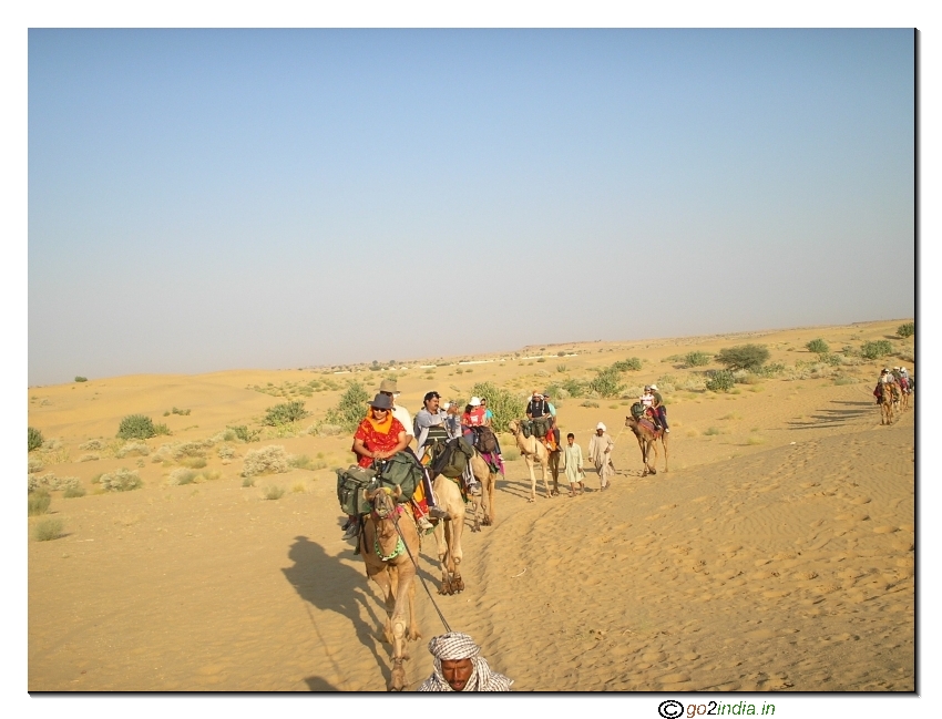 Desert trekking by camel 