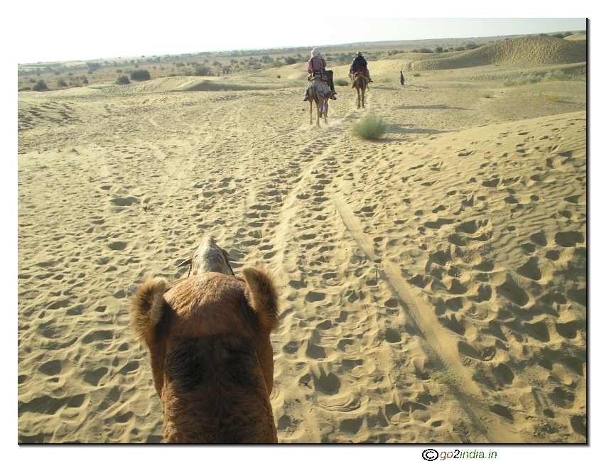 From top of the camel during desert trekking 
