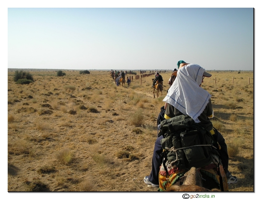 View from Camel top during desert trekking 