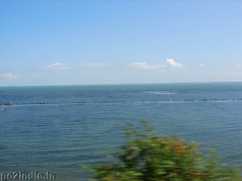 Lake from train view