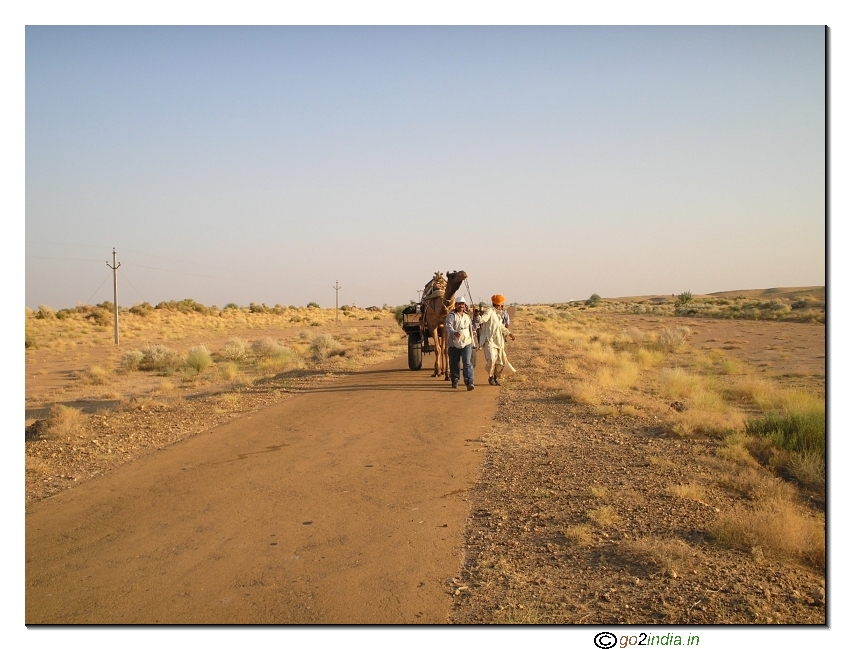 Cart and camel in desert 