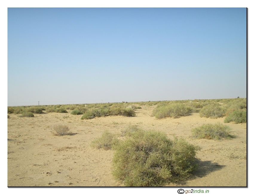 Desert  dry sand all around