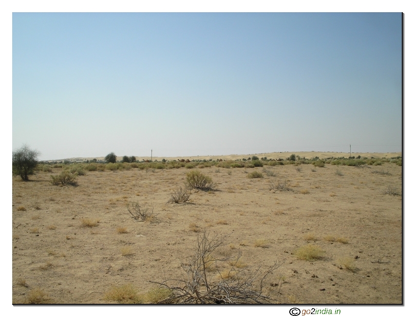 Desert trekking near Jaisalmer