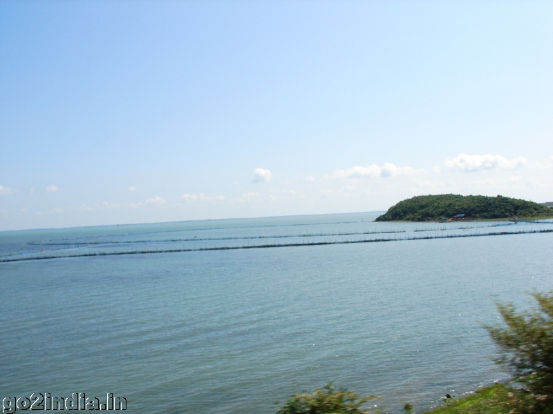 chilka Lake