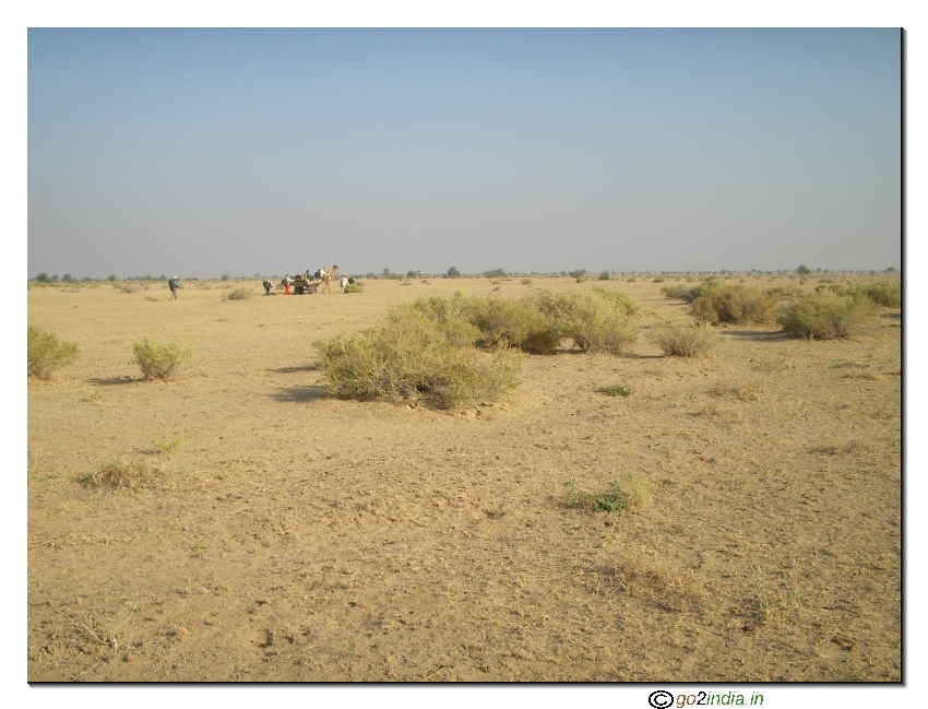 Camel from a distance during trekking inside desert