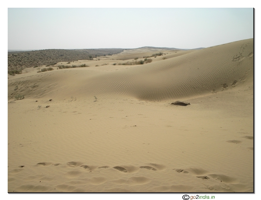 Sand in desert 