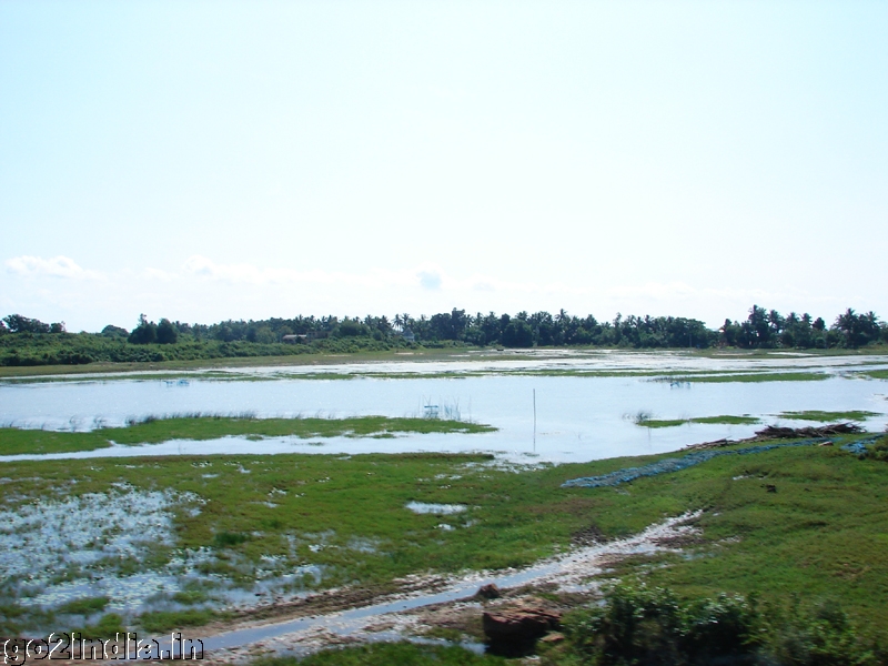 Chilika Lake
